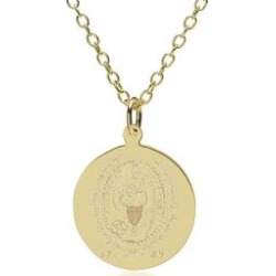 Georgetown 14K Gold Pendant and Chain