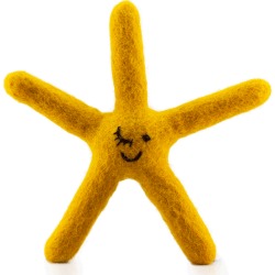 Sea Star dog toy