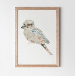 Kookaburra Watercolour Fine Art Print