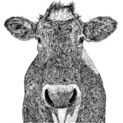 Cow Print