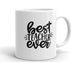 Best teacher ever mug