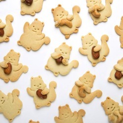 Squirrel Cookie Cutter