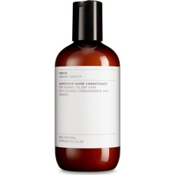 Evolve Beauty - Superfood Shine Natural Conditioner