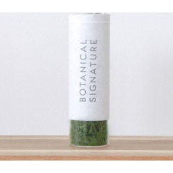 Matcha Moments Green Tea
