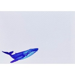 Jackaroo & Bug - Whale Notecards: Pack Of 10 found on Bargain Bro from Wolf & Badger US for USD $25.84