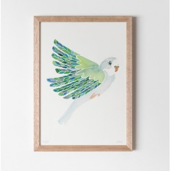 Budgie Watercolour Fine Art Print