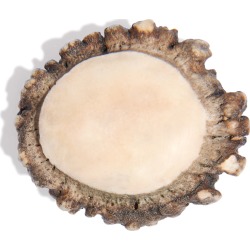 YiY - Shed Antler Coronet Token For Yiy Bag
