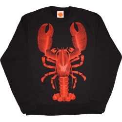 Lobster men's sweater