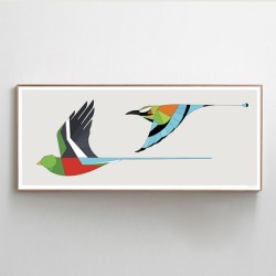 Birds of Central America Print