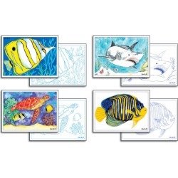 Australian reef card making pack