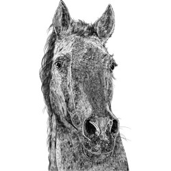 Horse Print