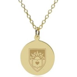 Lehigh 14K Gold Pendant and Chain