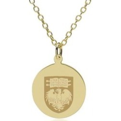 Chicago 14K Gold Pendant and Chain