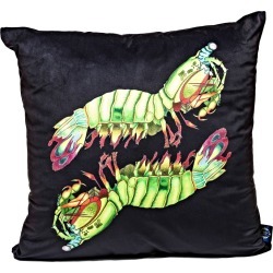 Wilful Ink - Peacock Mantis Shrimp Velvet Cushion