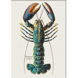 French Lobster Print