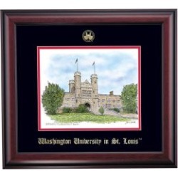Washington in St. Louis Prestige Framed Artwork