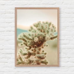 Yucca Valley Poster