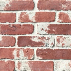 Avondale 2" x 8" Antik Matte Brick Tile Used Red