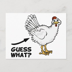 Guess What Chicken Butt Postcard found on Bargain Bro Philippines from Zazzle for $1.45