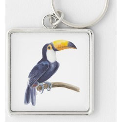 Toucan, tropical bird