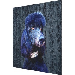 Diamond Collar Dark Blue Poodle Night Gray