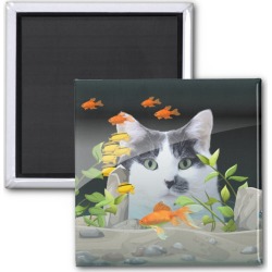 Custom Photo Cat Peering in Fish Tank