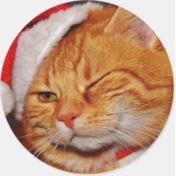 Orange cat - Santa claus cat - merry christmas Classic Round Sticker