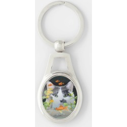 Custom Photo Cat Peering in Fish Tank