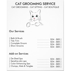 Cat grooming service modern
