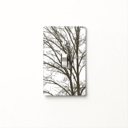 Tree Light Switch Cover