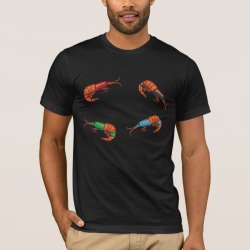 Fish Tank Shrimp Aquascaper Aquarium Fish Lover, Men's, Size: Adult XS, Black