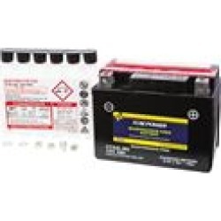 Fire Power Sealed Maintenance Free Battery