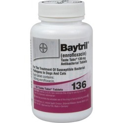 Baytril Taste Tablets 136mg 50CT