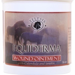 Equiderma Wound Ointment