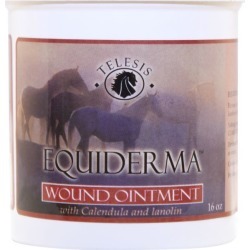 buy  Equiderma Wound Ointment cheap online