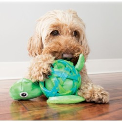 KONG Sea Shells Dog Toy Medium/Large Lobster