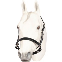 Henri De Rivel Everyday Black Halter Pony