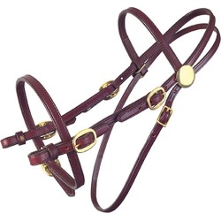 Tucker Pleasure Trail Bridle w/Brass Horse Brown