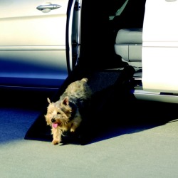 Mr Herzher Smart Dog Ramp Junior