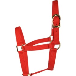 Basic 2-Ply Halter Average Red
