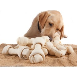 Select Grille Knotted Rawhide Bone Bulk Bag MED