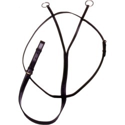 Silver Fox Running Martingale Horse