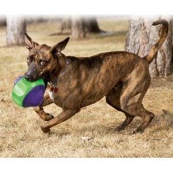KONG Babbler Dog Toy Small