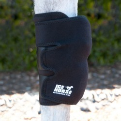 Ice Horse Knee Wrap Single