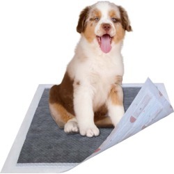 Pet Life 55 Grams Diabetic Dog Training Pads 50ct