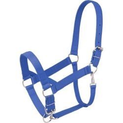 Tough-1 Nylon Draft Halter Blue