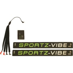 Sportz-Vibe Horse 9 Motor/2 Panel Kit