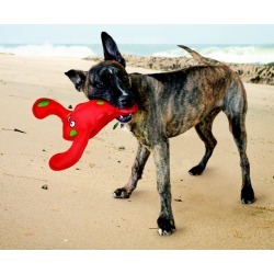 KONG Belly Flops Dog Toy Lobster