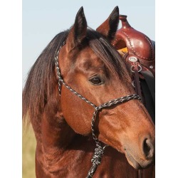 Cashel Knotless Halter Pony