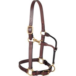 Weaver Adj Leather Halter w/ Snap Average